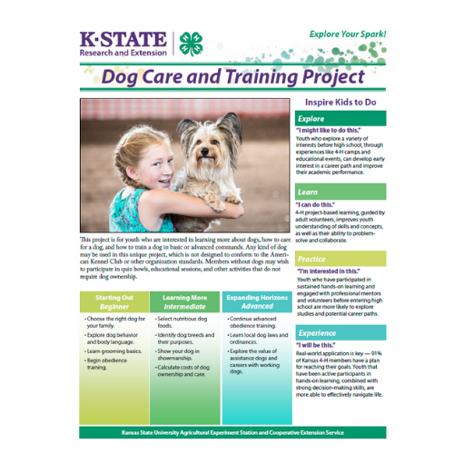 Dog Care and Training