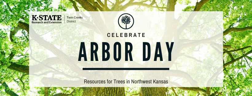 Arbor Day Website Flyer
