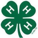 Clover with H's