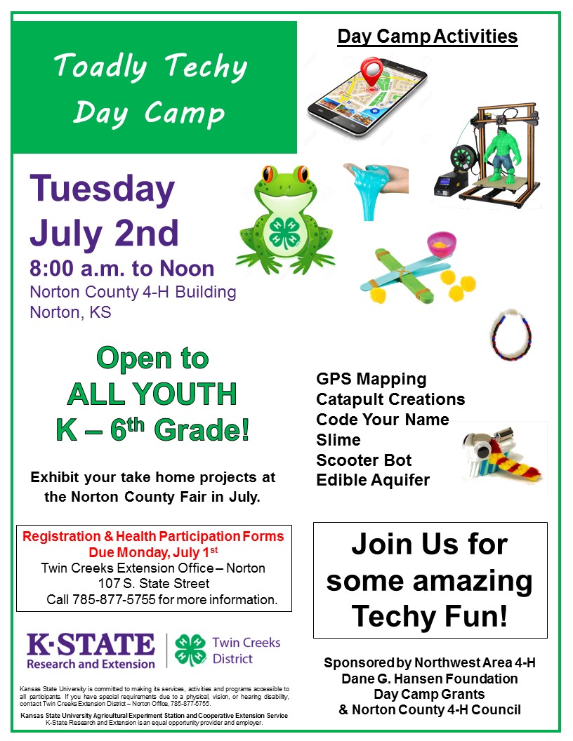 Toadly Techy Day Camp Flyer