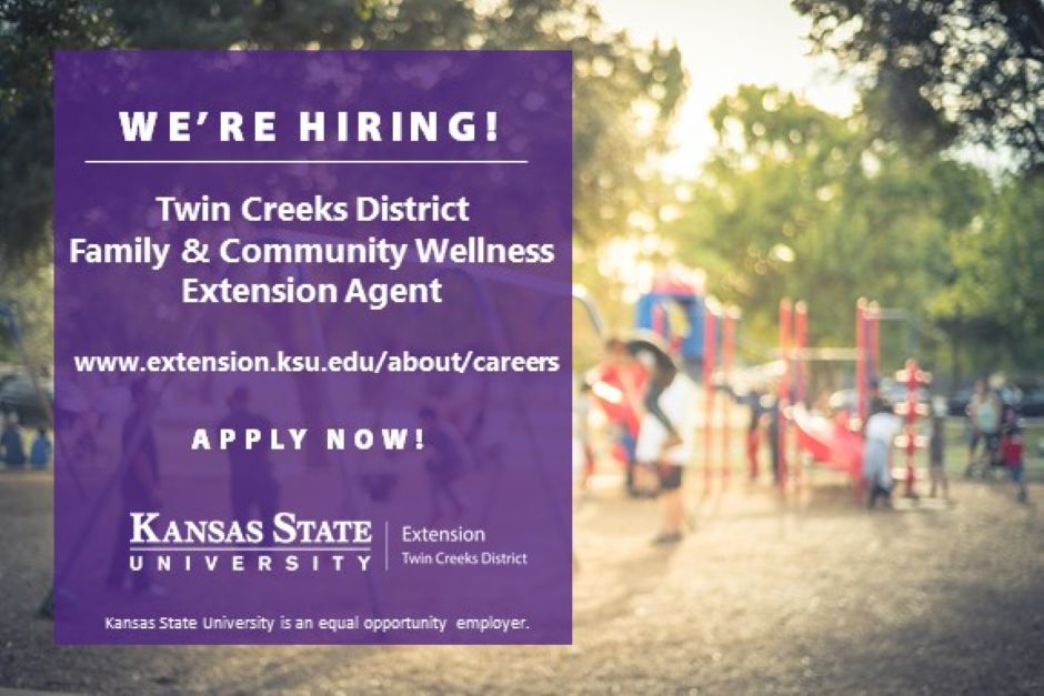 Family and Community Wellness Agent Flyer